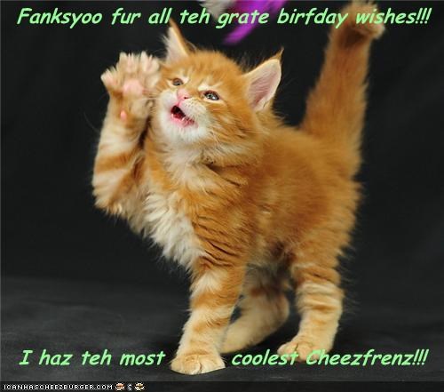 Fanksyoo fur all teh grate birfday wishes!!!    I haz teh most        coolest Cheezfrenz!!!
