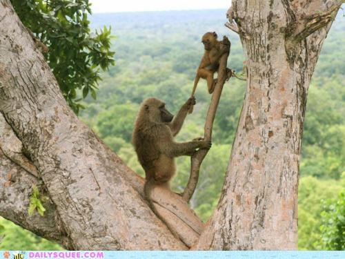 Acting Like Animals: Not So Fast, Child