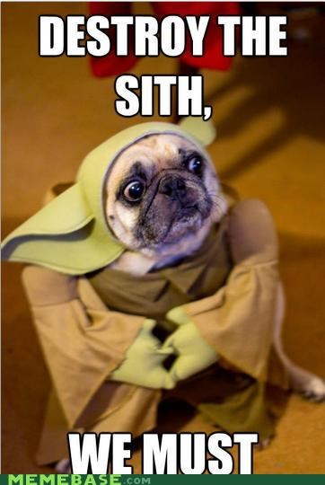 Yo Dawg, I Heard You Like Yodog 