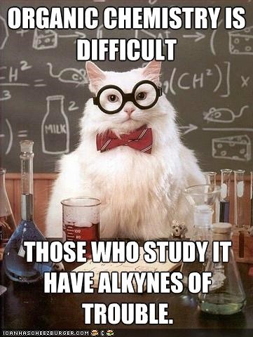 MemeCats: That Must Be Why I FLuNK All My Classes
