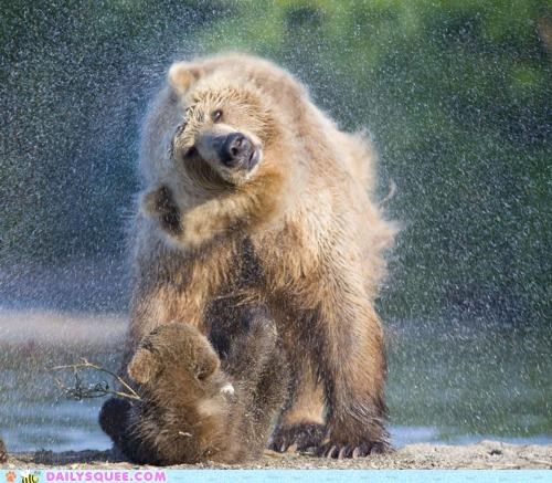Acting Like Animals: Moms Come With Built-In Showers