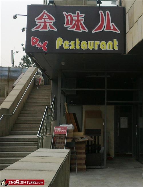 I'll have the roasted rat