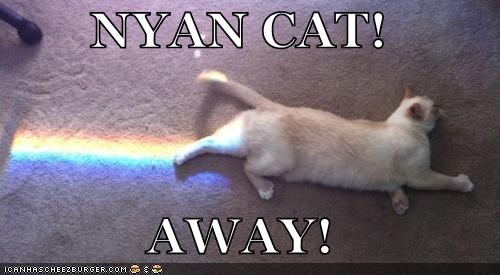 NYAN CAT!  AWAY!