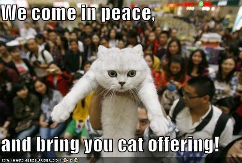 We come in peace,  and bring you cat offering!