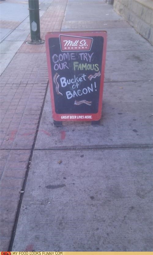 Bacon is Famous!