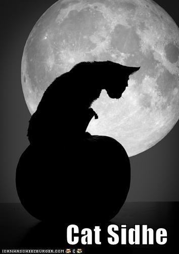 Cat Sidhe