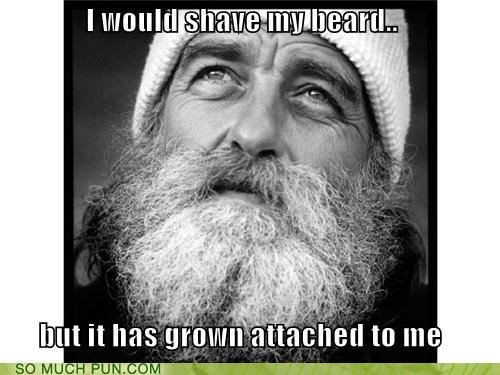 In Honor of No-Shave November