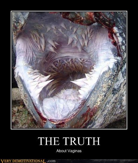 THE TRUTH