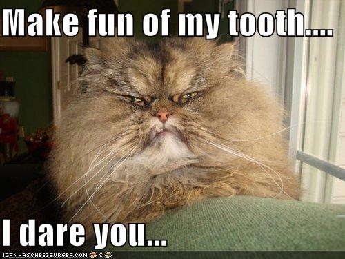 Make fun of my tooth....