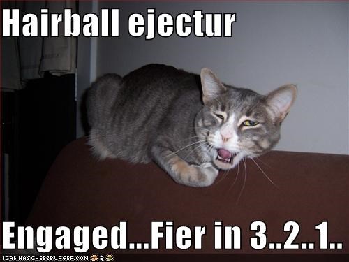Hairball ejectur  Engaged...Fier in 3..2..1..