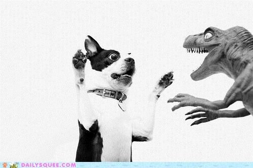 Acting Like Animals: I WILL Defend Tokyo!