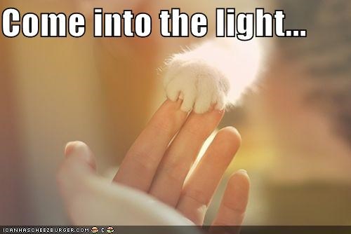 Come into the light...