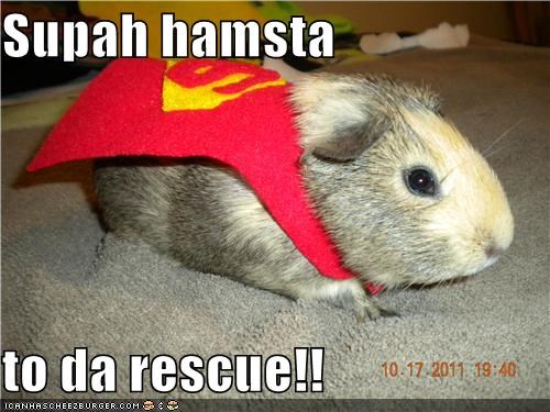 Supah hamsta  to da rescue!!
