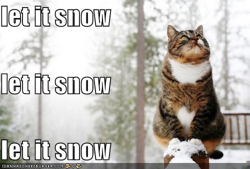 let it snow let it snow let it snow