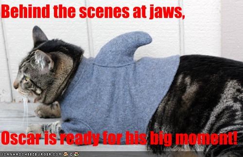 Behind the scenes at jaws,  Oscar is ready for his big moment!