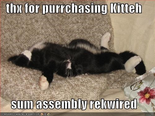 thx for purrchasing Kitteh  sum assembly rekwired