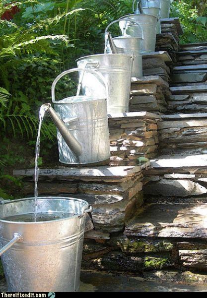 Why Did You Need 7 Cans To Water The Plants?