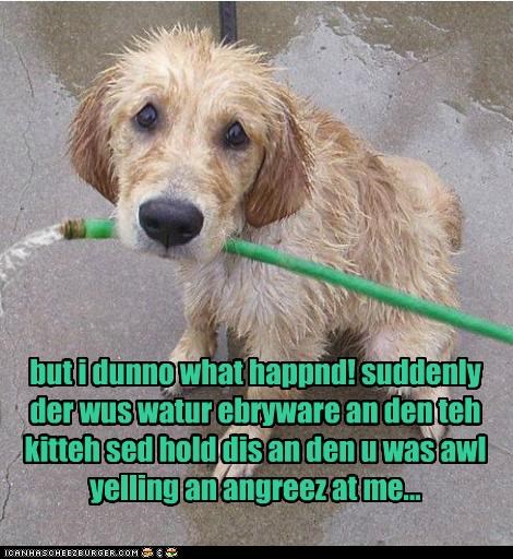 but i dunno what happnd!