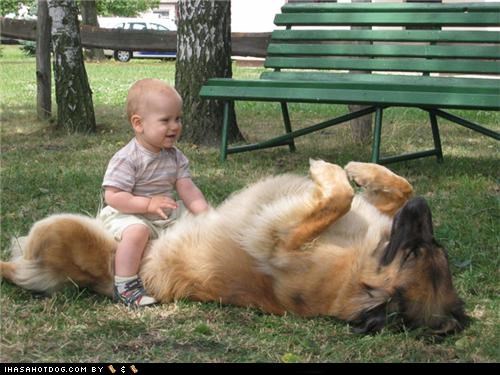 Goggie ob teh Week: Bestest Friends!