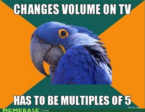 Paranoid Parrot: 5, 10, 15, 20...