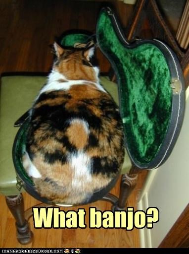 What banjo?