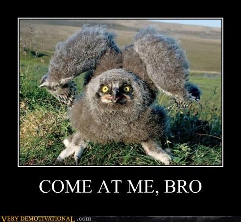 COME AT ME, BRO