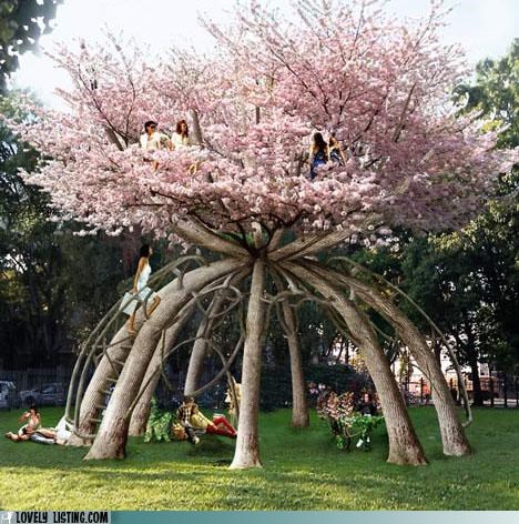 "Tree House" Get It?
