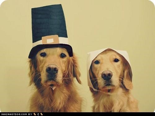 Happy Thanksgiving!