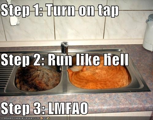 Step 1: Turn on tap