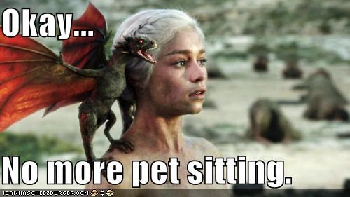 No More Pet Sitting