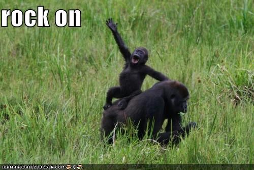 Time to go Bananas!!