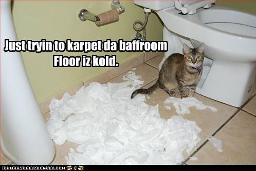 Just tryin to karpet