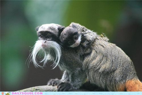 Squee Spree: You Have Your Father's Mustache