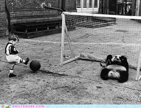 Acting Like Animals: Tending Goals Like a... Bear?