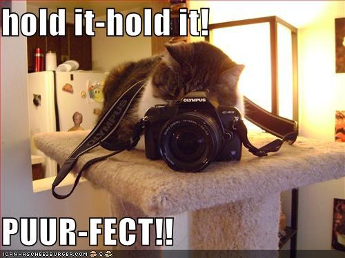 hold it-hold it!