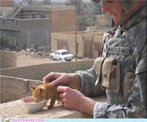 Daily Squee Says Thanks to Veterans
