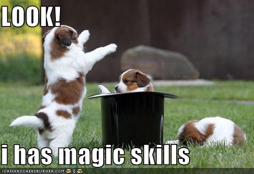 LOOK!   i has magic skills