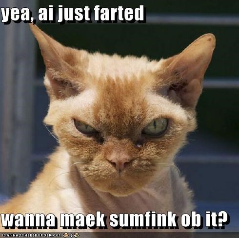 yea, ai just farted  wanna maek sumfink ob it?