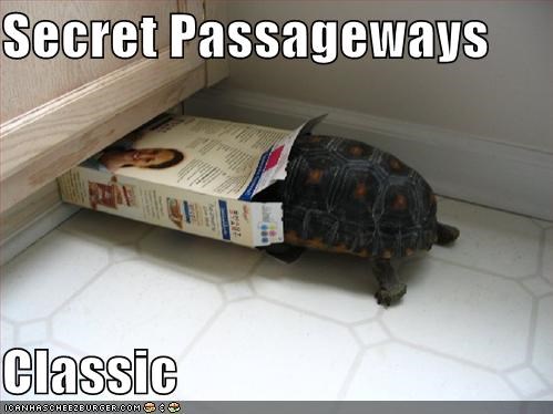 This One Leads to Narnia