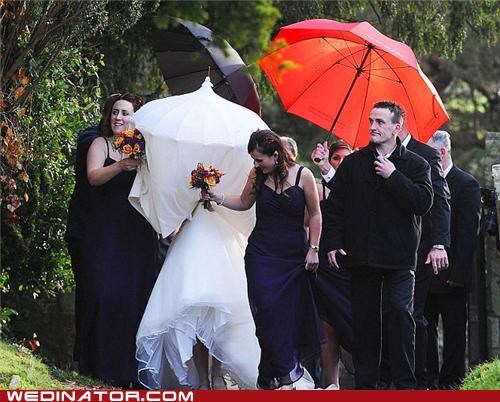 Mrs. Manners: The Wedding