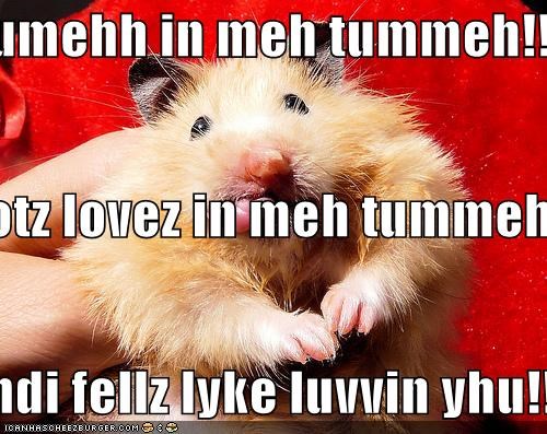 yumehh in meh tummeh!! I gotz lovez in meh tummeh!! andi fellz lyke luvvin yhu!!