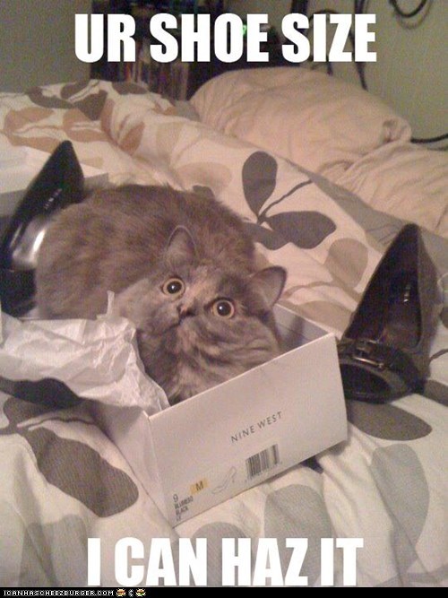 Ur Shoe Size...