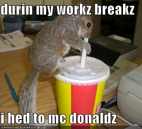 durin my workz breakz   i hed to mc donaldz
