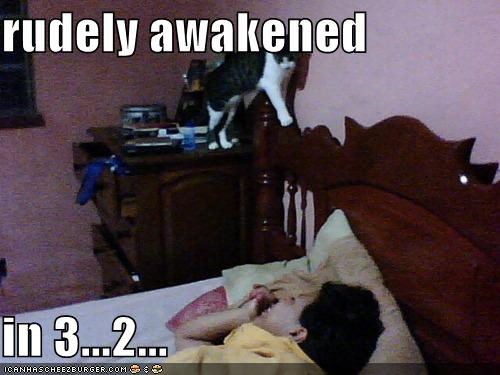 rudely awakened  in 3...2...