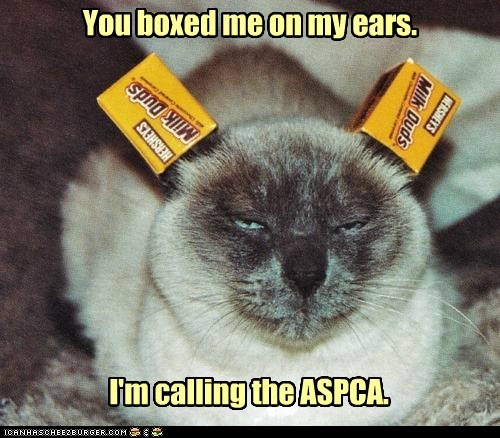 You boxed me on my ears.