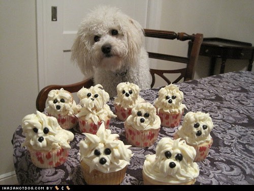 Delishush Pupcakes!