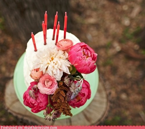 Epicute: Dream Cake