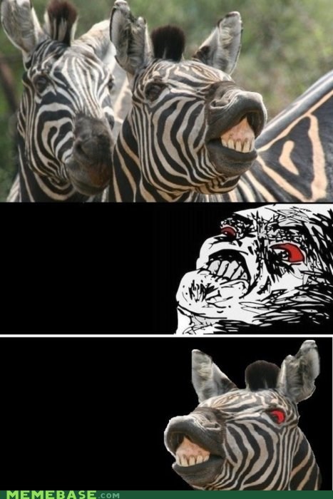Zebras Hate Raisins