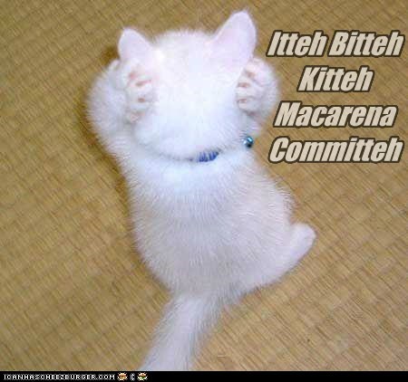 Itteh Bitteh Kitteh