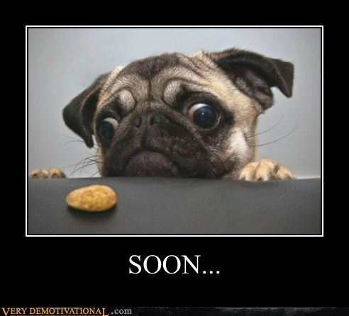 SOON...
